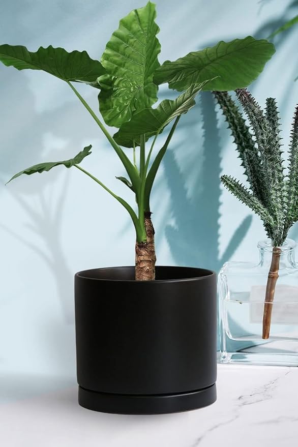 2 Pack Ceramic Plant Saucer Pot Tray 6 Inch, Planter Saucers 4 5 6 7 8 9 10 11 12 13 Inch for Indoors Outdoor, Durable Sturdy Flower Drainage drip Water Tray for Glazed Pots Base (6.4 Inch-Black)