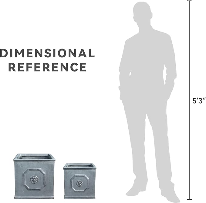 Kante Square Lion Head Concrete Planter Set of 2, Classic English Style Plant Pot with Drainage Hole and Rubber Plug for Indoor Outdoor, 10.2"x10.2"x10.2" and 12.6"x12.6"x12.6" Antique Gray