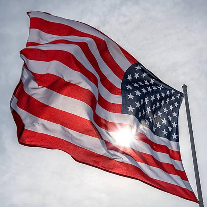 Homissor American Flag 10x15 for Outside US Flags Outdoor Heavy Duty United State USA Flag Embroidered Stars for All Weather High Wind Sewn Stripes With Brass Grommets