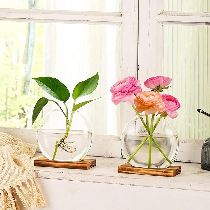 2 Pack Plant Propagation Station with Wooden Base Glass Terrariums for Indoor Plants Decorative Round Vases for Flowers Hydroponic Planter for Home Office Decor