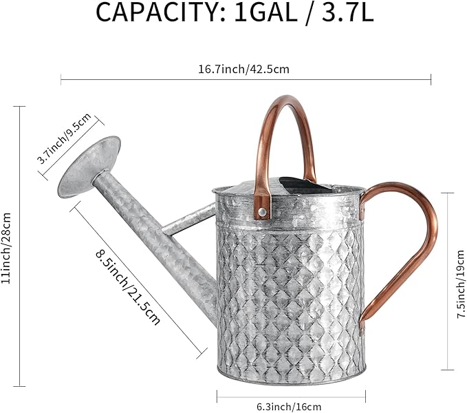 1 Gallon Metal Watering Can for Outdoor Indoor Plants, Galvanized Watering Can with Removable Spray Spout, Ideal for Garden Watering