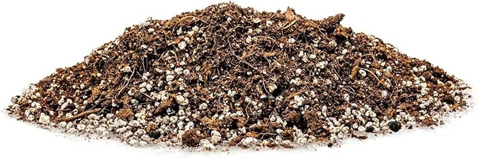 Premium Organic Potting Soil - 1 Quart - The Ideal Growing Medium for Delicious and Nutritious Homegrown Potatoes
