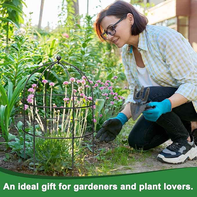 2 Pcs Jardin Bird Cage Plant Support 24" H Large Sturdy Grow-Through Flower Support Black Peony Plant Support Cage Climbing Plant Trellis Sculptural Garden Decor for Perennial Flowers Classic Black