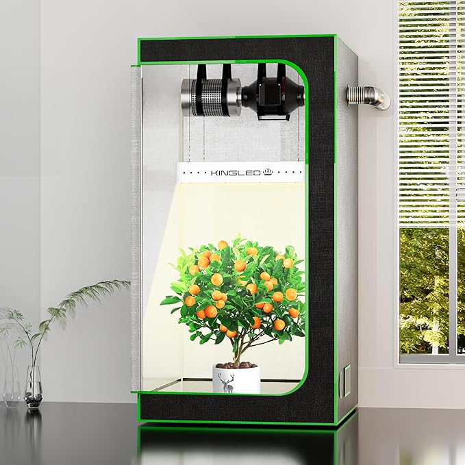 KingLED Grow Lights, KP2000 Full Spectrum Grow Lamp for Indoor Plant, Veg Bloom Dual Mode, 3x3 Coverage, Plant Light for Seedlings Blossom Fruiting, Idea for Home Growing Tent Hydroponic Greenhouse