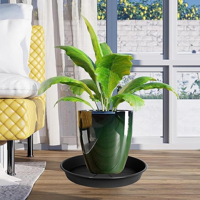 1 Pack of Plant Saucer Tray 8 inch, Heavy Duty Plastic Pot Plant Drip Trays Saucers for for Indoors Outdoor, Plant Water Tray for Planters (8", Black)