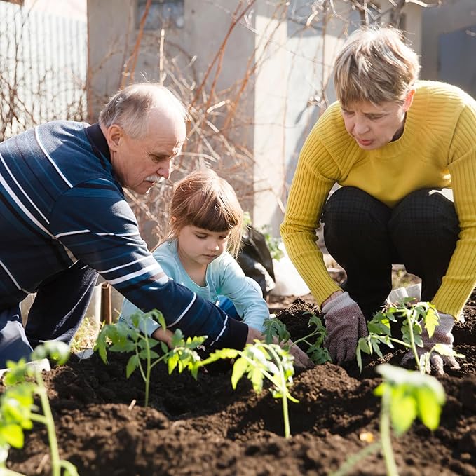 1,500+ Tomato Seeds, Heirloom Vegetable Seed for Planting Indoor Outdoor, 10 Varieties Salad Tomato Seeds Garden Hydroponic Kit, Non-GMO Home Hydroponic Fresh Food Veggie Supply