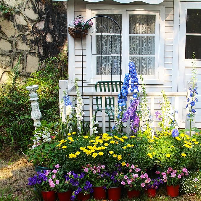 2 Pack Black Garden Trellis for Climbing Plants 59" H x 15.9" W Iron Plant Support Climbing Vines and Flowers Stands Vegetables Patio Metal Lattices Garden Addition Outdoor