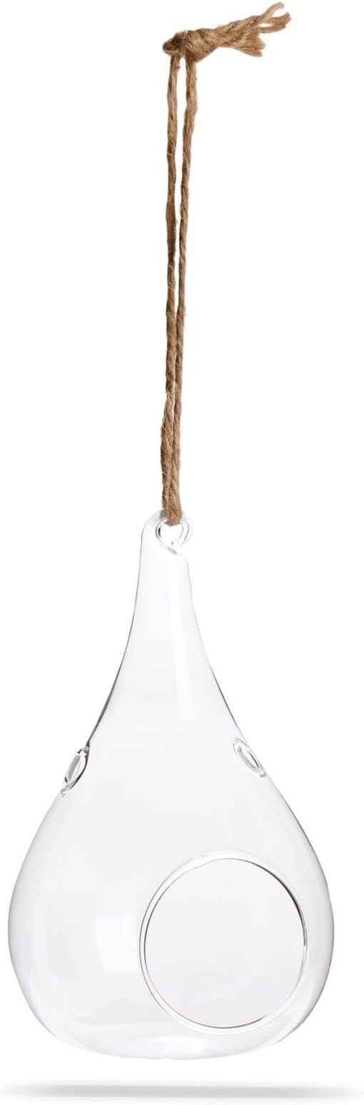 Juvale 5-Pack Hanging Glass Terrarium Containers - Air Plant Holder, Succulent Planter, Tea Light Candle Hangers (3.5x5 in)