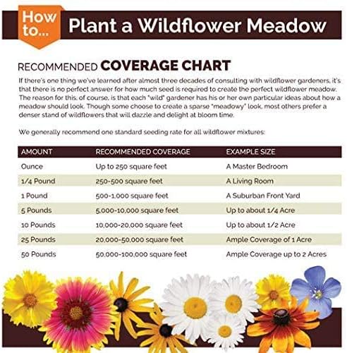 Dirt Goddess Super Seed~ Nasturtium, Tall Trailing Mix Seed~ Tropaeolum majus (25 Lbs)