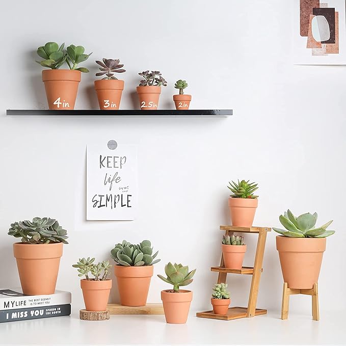 3 inch Terracotta Clay Pots Pack of 18, Small Plant Pots with Drainage Holes and Saucers, Mini Nursery Plant Pots for Succulents, Cactus, Indoor,Outdoor,Halloween Decor