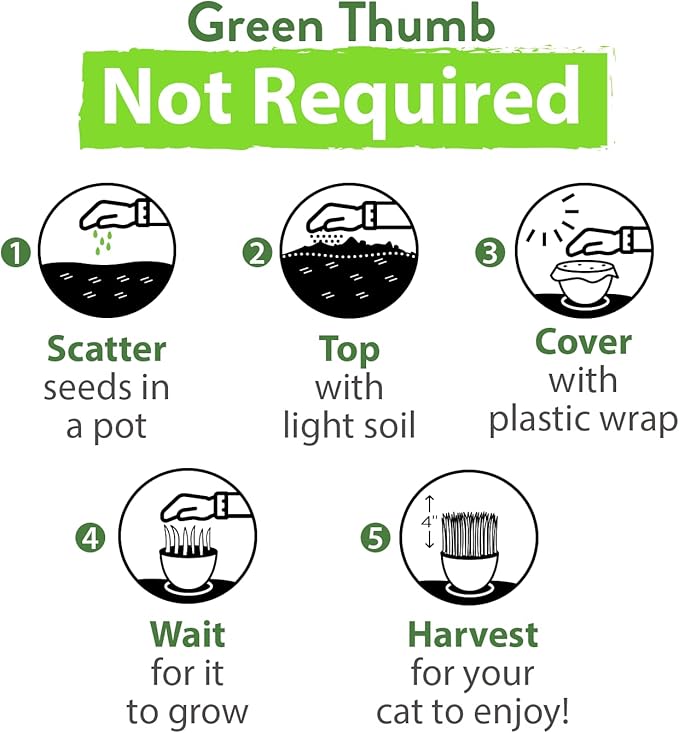 HOME GROWN Cat Grass Seed Mix – Non-GMO Oat, Alfalfa, Rye & Wheat Seeds for Cats | Indoor Pet Grass with Fast Germination | Digestive Aid, Hairball Relief & Safe Chew Alternative