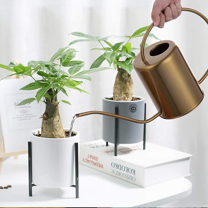 1/2 Gallon 68oz Long Spout Stainless Steel Gold Colored Watering Can for Indoor Plant Watering or Outdoor Gardening with 2 Removable Spray Spout for Flowers, Medium