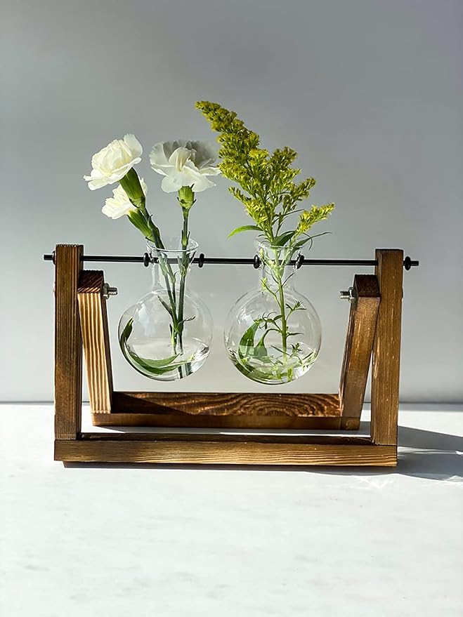 Kingbuy Glass Desktop Planter with Retro Wooden Stand and Plant Terrarium vase (2 Bulbs) for Indoor Office Desk Decor Accessories