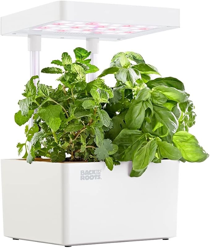 Back to the Roots Hydroponic Grow Kit, Indoor Garden with Light (Matte White), Organic Seeds Included, Gardening Gift, Everything Included
