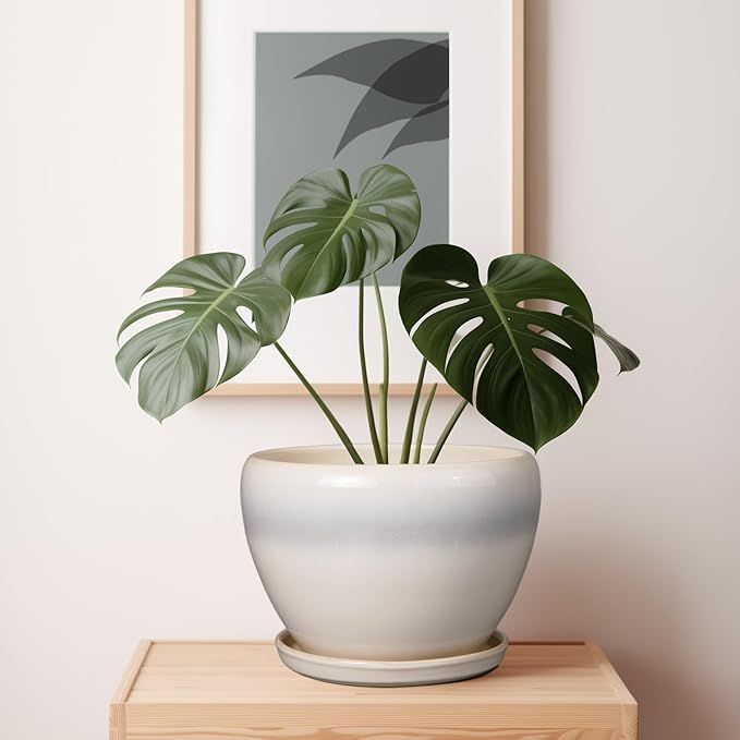 10 Inch Ceramic Planter Pot - Large Plant Pot with Drainage Hole and Saucer Round Flower Pot for Indoor Plants, White