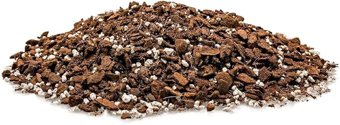Premium Swiss Cheese Plant Potting Mix - 10 QT - Monstera Deliciosa Blend for Optimal Nutrients and Drainage for Healthy Growth - (2 Bags of 5 Quart)
