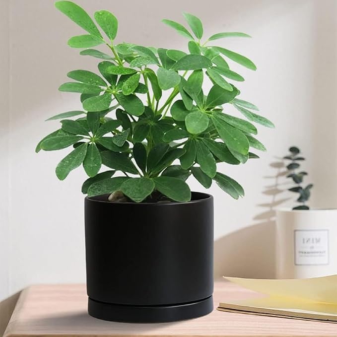 2 Pack Ceramic Plant Saucer Pot Tray 8 Inch, Planter Saucers 4 5 6 7 8 9 10 11 12 13 Inch for Indoors Outdoor, Durable Sturdy Flower Drainage drip Water Tray for Glazed Pots Base (8.5 Inch-Black)