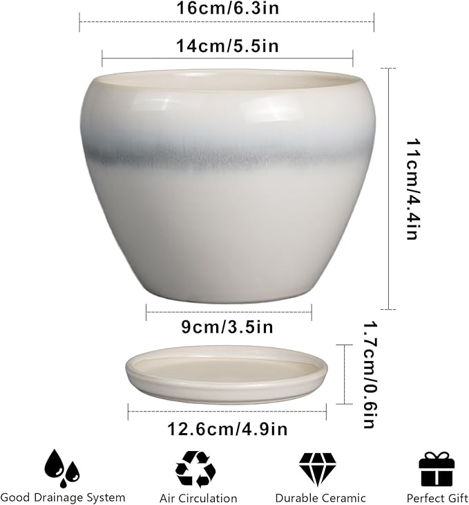 Planter Pot 6 Inch - Ceramic Plant Pot with Drainage Hole and Saucer, Round Glaze Succulent Pot for Plants, White