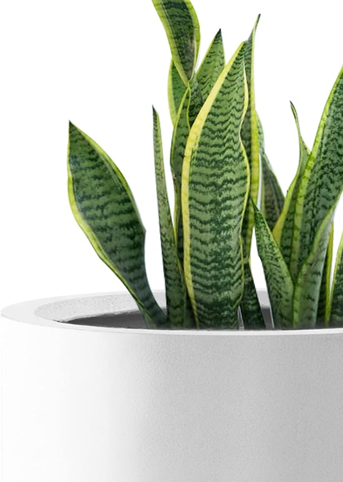 Kante RC0119ABC-C80011 Set of 3 Lightweight Concrete Modern Cylinder Outdoor Planters, 15.8, 12.9 and 9.8 Inch Diameter, Pure White