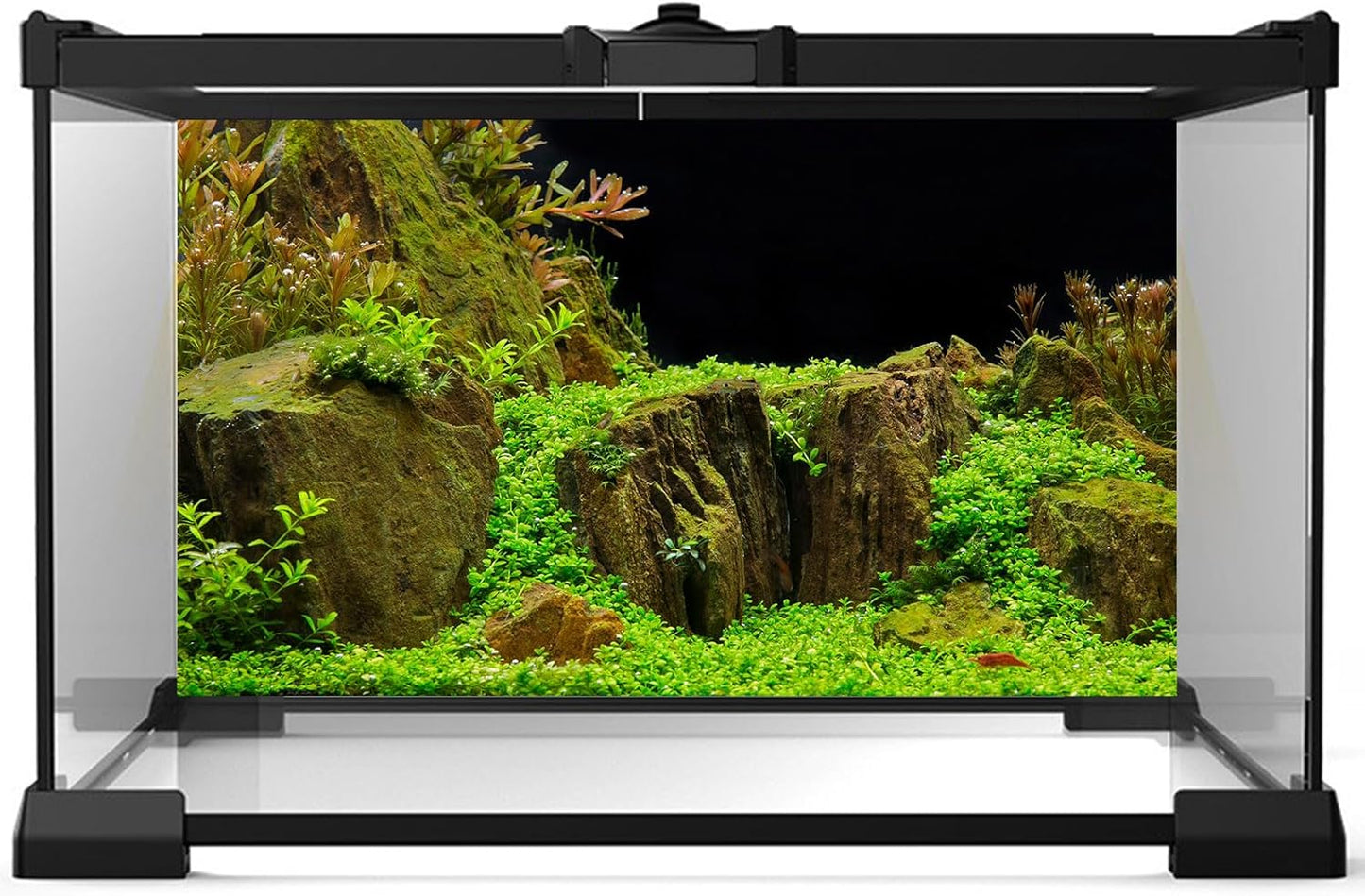 Aquarium Background Exquisite Underwater Grass with Moss Aquarium Backdrop Mysterious Stone Aquarium Background Durable Vivid and Fresh Leaves Background Tank Backdrop Decor Vinyl 30x18in