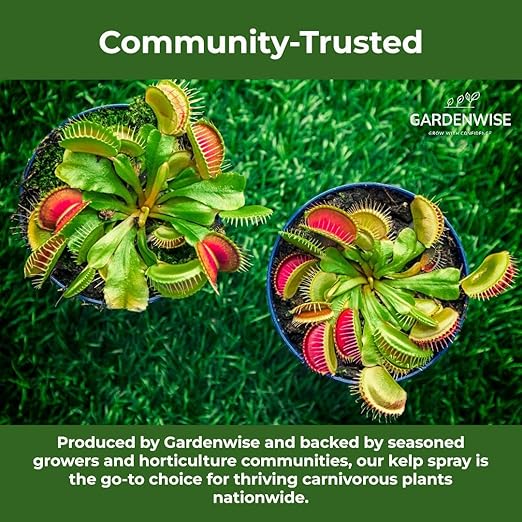 100% Organic Marina Mist Carnivorous Plant Food | Liquid Kelp Foliar Spray for Plants - Kelp Fertilizer for Venus Flytraps, Sundew, Butterworts, Pitcher Plants 8 Oz