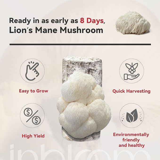 inbloom Large Organic Lion's Mane Mushroom Growing Kit (4 lbs) – Double-Side Growth, Edible Non-GMO Mushroom Kit, Beginner-Friendly, Harvest Mushrooms at Home, Indoor Gardening Gift for Adults