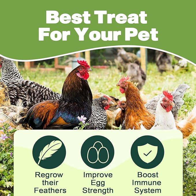 20LB Dried Black Soldier Fly Larvae, 86X Calcium Than Dried Mealworms, High Protein Non-GMO Organic Chicken Feed