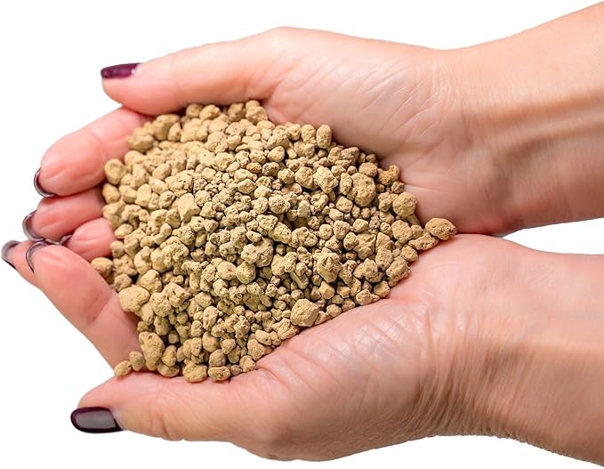 Japanese Hyuga Pumice - Premium Additive for Orchid & Bonsai Tree Soil |Professional Imported Sifted and Ready to Use (1 Quart Bag)