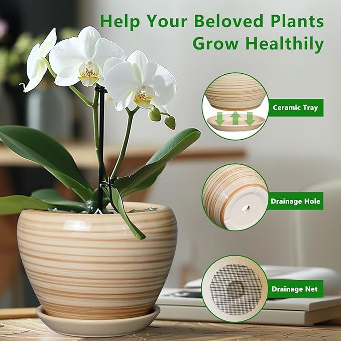 Planter 8 Inch - Indoor/Outdoor Ceramic Plant Pot With Drainage Hole and Saucer, Round Modern Flower Planter for Succulents, House, Patio - Yellow