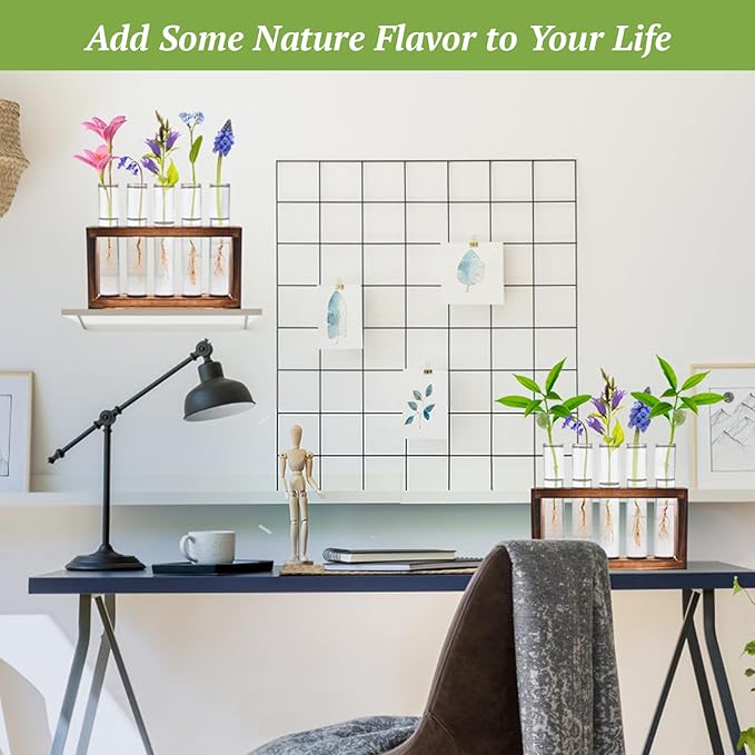 2pcs Desktop Glass Plant Propagation Station with 10 Test Tubes in Wooden Stand - Hydroponic Plants Cutting Office Home Decoration and Garden Decor Terrarium (10 Tubes)