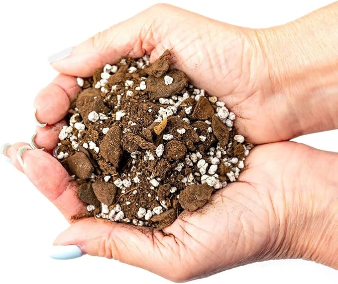 Palm Tree Potting Mix - The Ultimate Soil for Strong and Healthy Palms - Top Choice for Palm Tree Growers [10 Quart Bag]