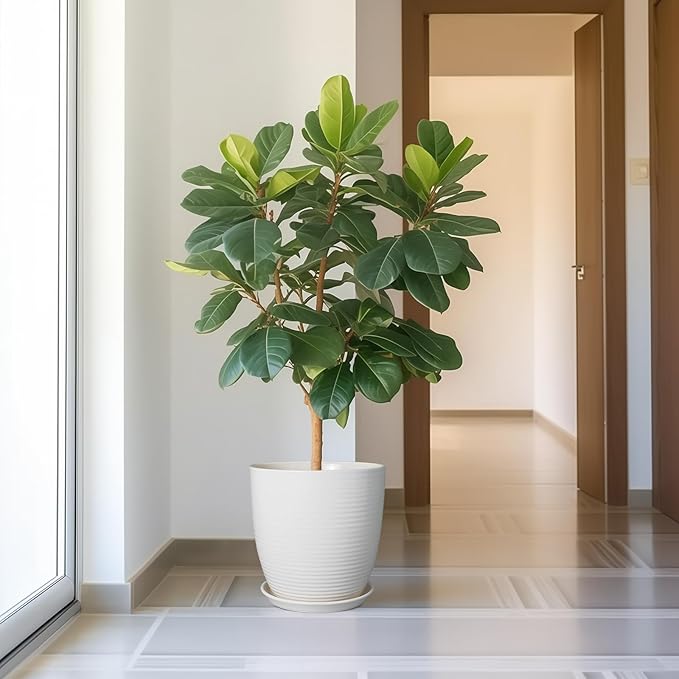 12 Inch Ceramic Planter Pot, Large Planter Pot with Drainage Hole and Saucer Round Flower Pot for Indoor Outdoor Plants, White