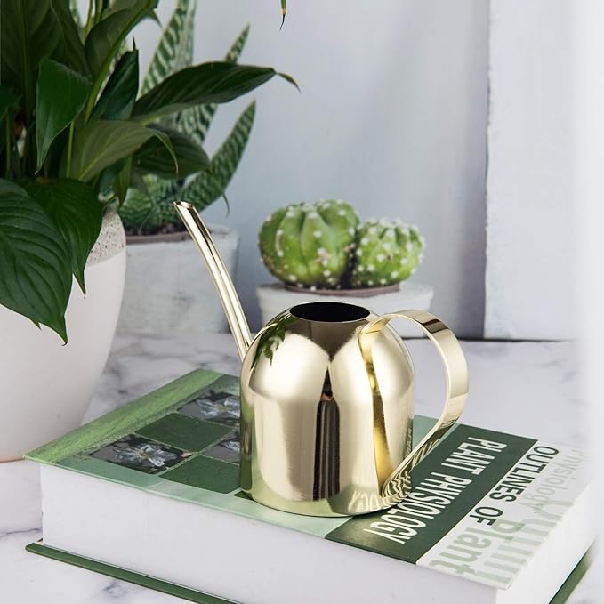 IMEEA Gold Watering Can for Indoor Plants, Orchid, Bonsai - Stainless Steel With Long Spout for House, Desk, Office - 15oz/450ml