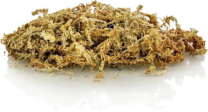 Premium New Zealand Sphagnum Moss by Gardenera - Organic Hand Mixed Long Fibered Sphagnum Moss Orchid - 1 Quart