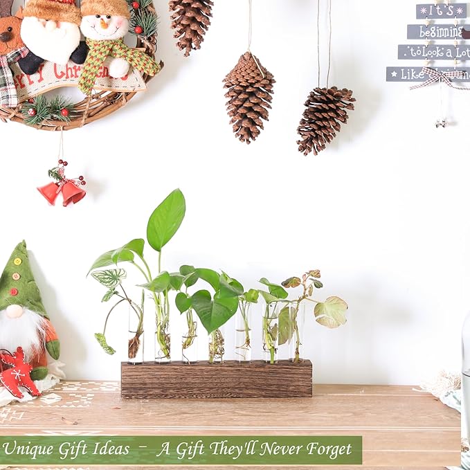 KAXYEW Desktop Glass Plant Propagation Station Test Tube Plant Terrarium in Wooden Stand for Hydroponic Plants Cutting Office Home Decoration