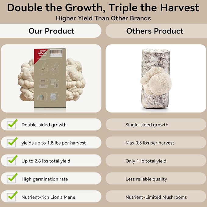 inbloom Large Organic Lion's Mane Mushroom Growing Kit (4 lbs) – Double-Side Growth, Edible Non-GMO Mushroom Kit, Beginner-Friendly, Harvest Mushrooms at Home, Indoor Gardening Gift for Adults