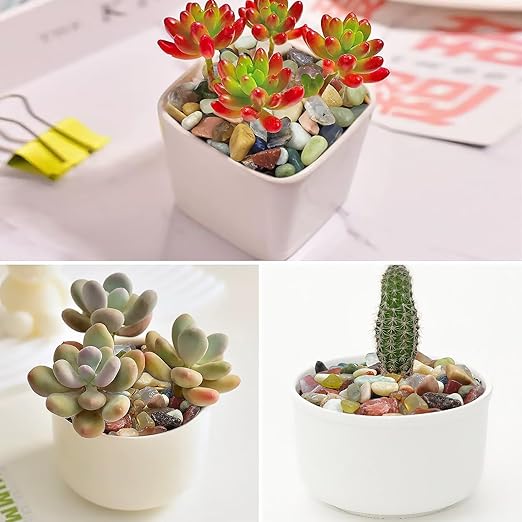 10LB Colorful Pebbles for Succulent, 3/8 Inch Natural River Rocks for Plants, Natural Decorative Polished Pebbles for Cactus,Vases, Planters,Outdoor Gardening and Indoor Plants