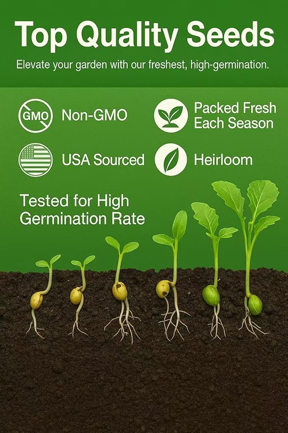 30000+ Creeping Thyme Seeds – 4g – Perennial Ground Cover Plants Flowers Non-GMO Heirloom – Purple Bloom Garden Seeds for Planting