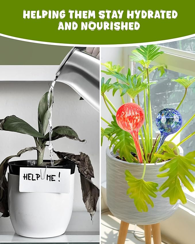 Iridescent Self Watering Globes, Glass Rainbow Plant Watering Globes, Self Watering Planter Insert, Automatic Plant Waterer Indoor (Large-6 Pcs Multi-Color, Large)