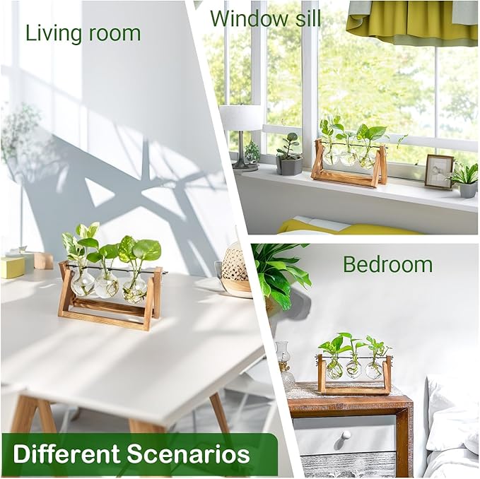 Ivolador I Plant Propagation Station, Bulb Plant Terrarium with Wooden Stand, Unique Gardening Gifts for Women, Hydroponic Indoor Planter, Home Office Garden Wedding Decor - 3 Bulb Glass Vases