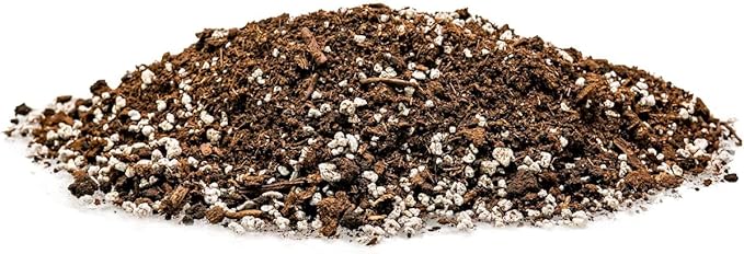 House Plant and Tropical Plant Potting Soil - Re-Potting Soil for All Types of Indoor House Plants - 5 Quart Bag