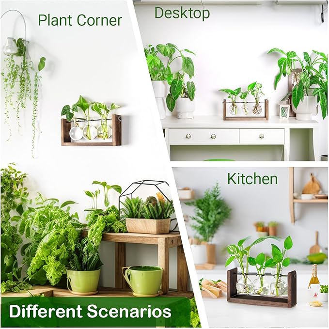 Ivolador Wall Hanging Plant Propagation Station,Bulb Plant Terrarium with Wooden Stand,Unique Gardening Gifts for Women Plant Lovers,Hydroponic Indoor Planter Home Office Decor-3 Bulb Glass Vases