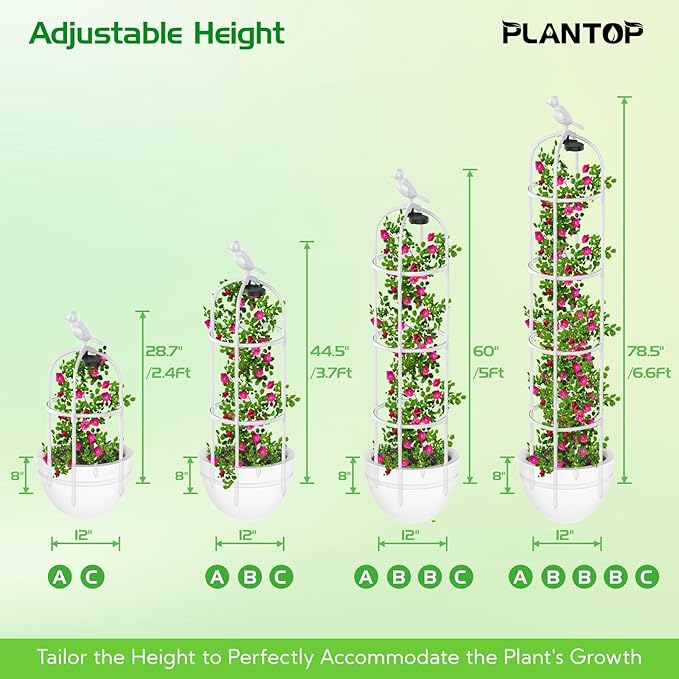 2 Pack Garden Obelisk Trellis with Solar Light, 6 Ft Trellis for Climbing Plants Outdoor Rose Bush Round Trellis for Pots, Rustproof PE Coated Metal Plant Support for Flowers Vine Indoor