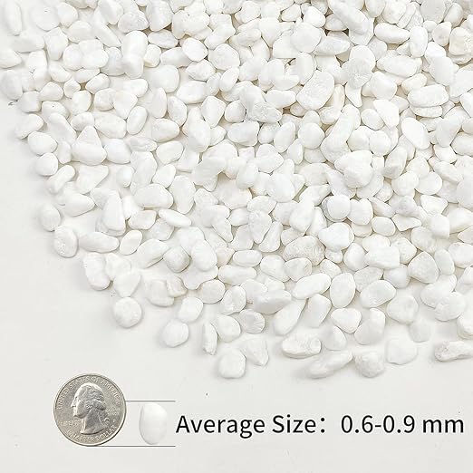 10lbs White Pebbles for Landscaping, 3/8inch Small Rocks for Succulent Cactus Planters, Natural Polished Pebbles, River Rocks for Plants, Vases, Garden