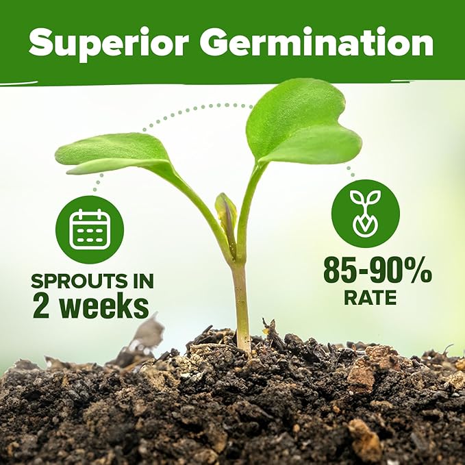 HOME GROWN 25 Herb Seeds for Planting 8,700+ Non-GMO Heirloom Seeds | Extra Large Variety Pack Herb Kit – Indoor Outdoor & Hydroponic | Culinary Seed Set | Grow Your Own Herbs | Gardening Gift