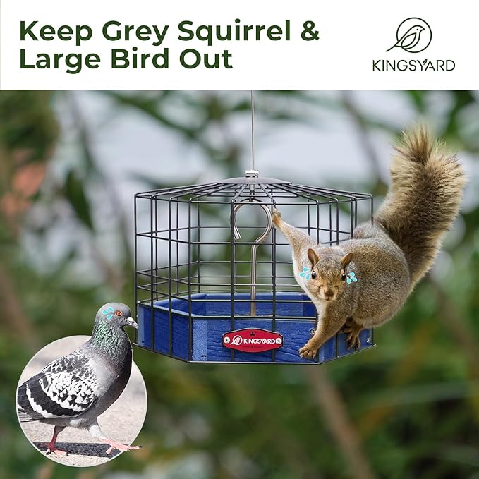 Kingsyard Squirrel Proof Platform Bird Feeder for Outdoor Hanging, Caged Bird Feeder for Bluebird Mealworm, Recycled Plastic Feeding Platform with Metal Mesh Tray, Special for Small Birds, Blue