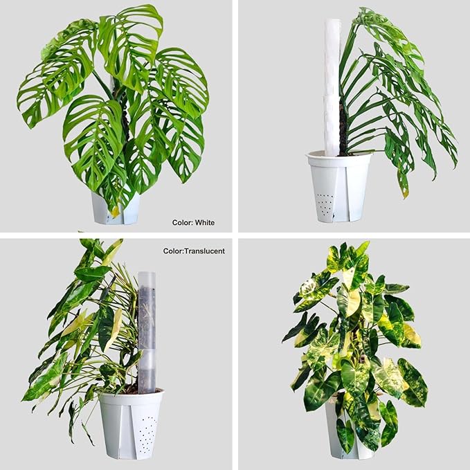 2 Pcs 17 Inch Clear Plastic Moss Pole for Plants Monstera, Designed Specifically for Climbing Plants, Stackable Plant Support for Indoor Plants Work with Sphagnum Moss