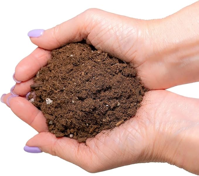 Citrus Tree Potting Soil Mix, Special Blend for Indoor Oranges, Lemons, Limes and More - (2 Quart Bag)