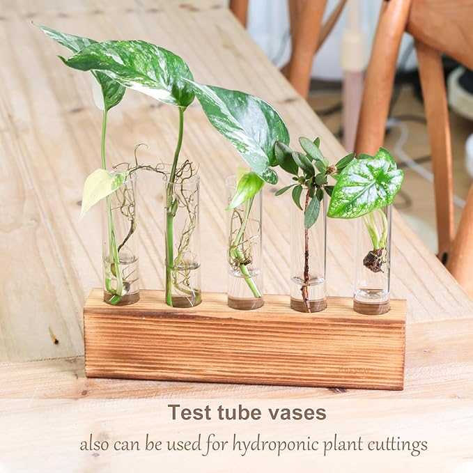 KAXYEW Glass Test Tubes with Cork Stoppers, Small Clear Glass Test Tube Plants Propagation Station for Scientific Experiments, Plant Cuttings Handmade Crafts Party Candy Storage
