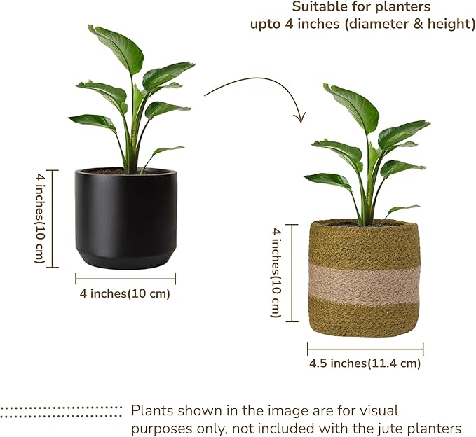 Jute Planter Basket-Woven Jute Rope Covers for Decorating Indoor/Outdoor Succulents, Small Plant Pots-Set of 2-Multi-Purpose Storage Bins 4.5 Inches - Modern Style Décor - Olive & Natural